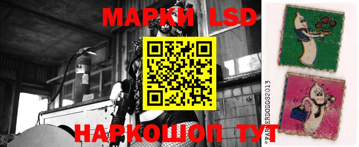 Лсд 25 Кропоткин
