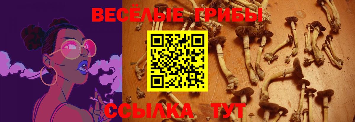 Галлюциногенные грибы Psilocybe  Галлюциногенные грибы MAGIC MUSHROOMS  Вход с VPN  Кропоткин 