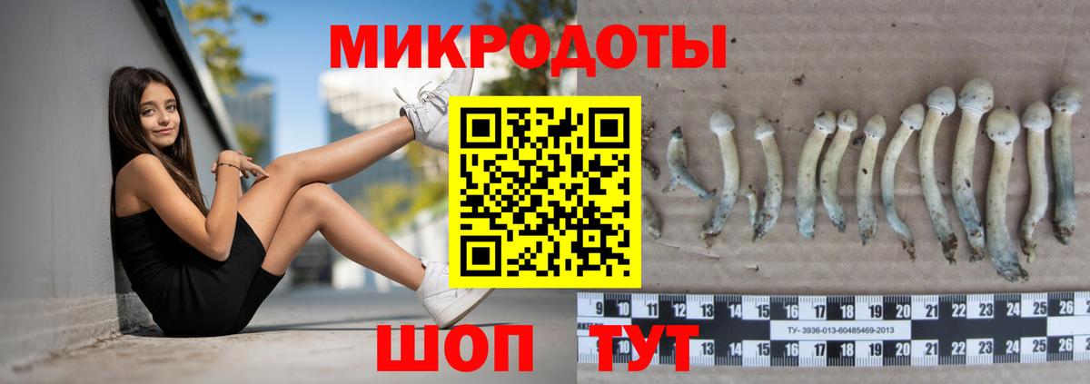 Галлюциногенные грибы ЛСД Кропоткин